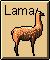 Lama